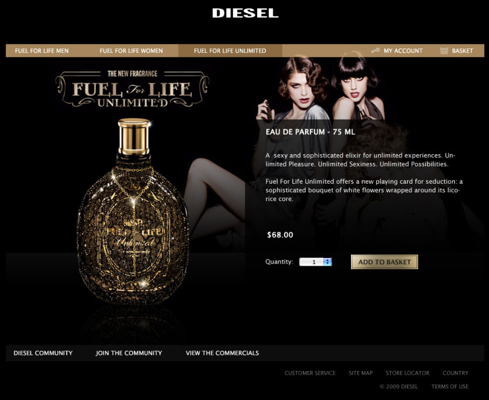 web site screenshot